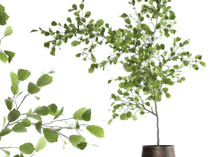 decorative tree in a flowerpot for the interior 955 3D Model