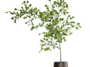 decorative tree in a flowerpot for the interior 955 3D Model
