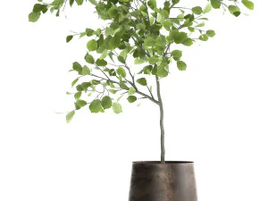 decorative tree in a flowerpot for the interior 955 3D Model