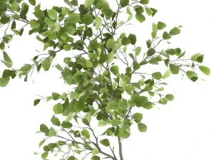 decorative tree in a flowerpot for the interior 955 3D Model