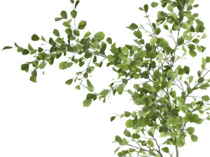 decorative tree in a flowerpot for the interior 955 3D Model