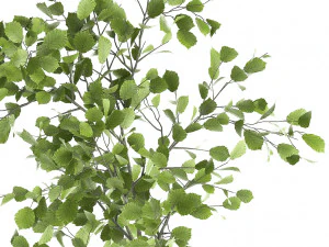 decorative tree in a flowerpot for the interior 955 3D Model