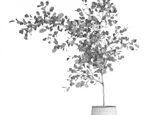 decorative tree in a flowerpot for the interior 955 3D Model