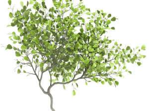 decorative tree in a flowerpot for the interior 956 3D Model