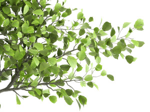 decorative tree in a flowerpot for the interior 956 3D Model