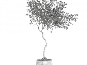 decorative tree in a flowerpot for the interior 956 3D Model