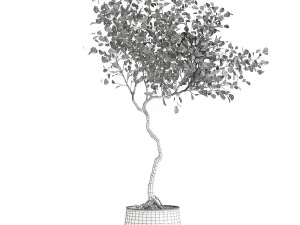 decorative tree in a flowerpot for the interior 956 3D Model