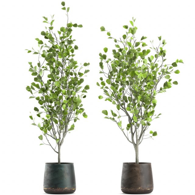 decorative tree in a flowerpot for the interior 957 Modelo 3D .c4d .max .obj .3ds .fbx .stl .blend 