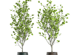 decorative tree in a flowerpot for the interior 957 3D Model