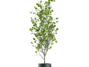 decorative tree in a flowerpot for the interior 957 Modelo 3D