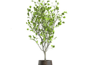decorative tree in a flowerpot for the interior 957 Modelo 3D