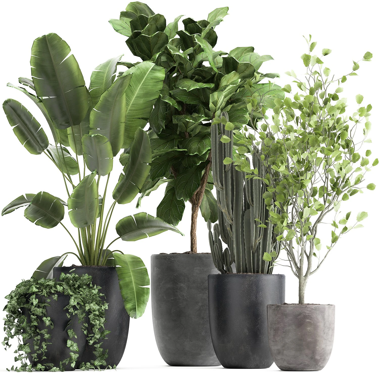 houseplants in a flowerpot for the interior 961 3D Model .c4d .max .obj .3ds .fbx .stl .blend 