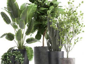 इंटीरियर के लिए फ्लावरपॉट में हाउसप्लांट 961 3D मॉडल