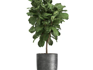 houseplants in a flowerpot for the interior 961 3D Model