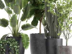 houseplants in a flowerpot for the interior 961 3D-Modell