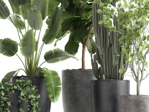 houseplants in a flowerpot for the interior 961 3D Model