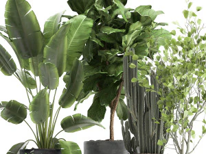 houseplants in a flowerpot for the interior 961 3D Model
