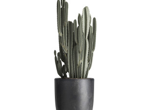 houseplants in a flowerpot for the interior 961 3D-Modell