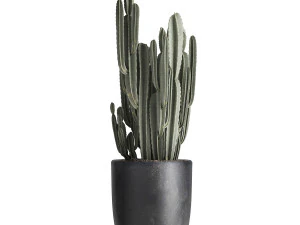 houseplants in a flowerpot for the interior 961 3D Model