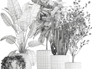 houseplants in a flowerpot for the interior 961 3D-Modell