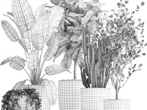 houseplants in a flowerpot for the interior 961 3D Model