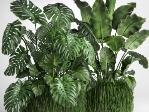houseplants in a flowerpot for the interior 962 3D Model