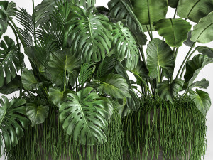 houseplants in a flowerpot for the interior 962 3D मॉडल