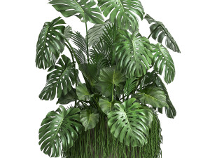 houseplants in a flowerpot for the interior 962 3D मॉडल