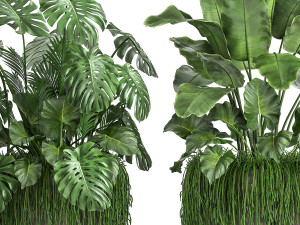 houseplants in a flowerpot for the interior 962 3D मॉडल