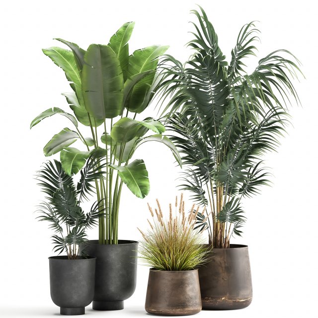 houseplants in a flowerpot for the interior 964 3D Model .c4d .max .obj .3ds .fbx .stl .blend 