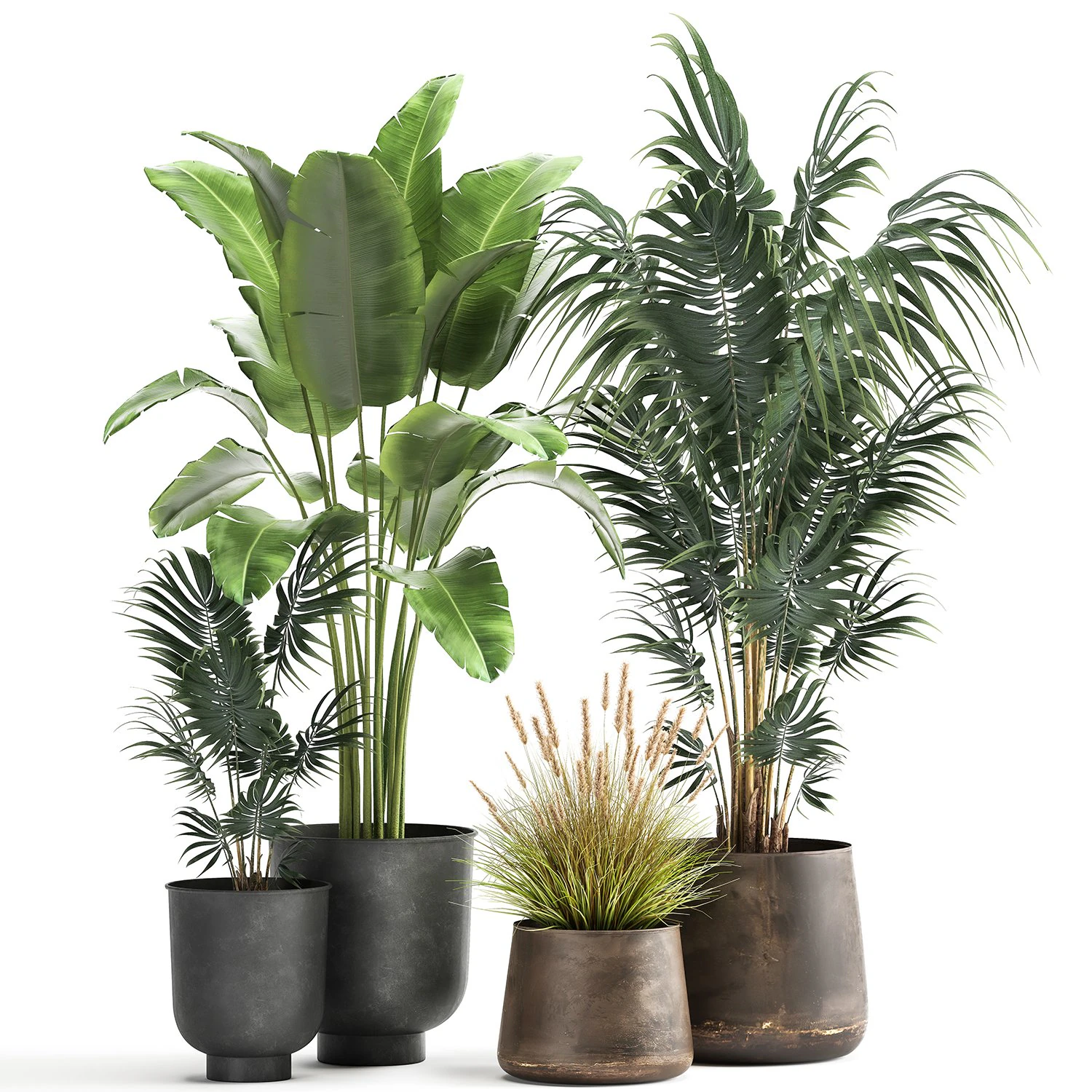 houseplants in a flowerpot for the interior 964 3D Model .c4d .max .obj .3ds .fbx .stl .blend 