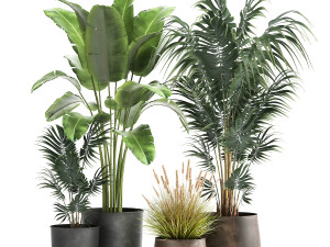 houseplants in a flowerpot for the interior 964 3D Model