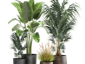 комнатные растения в вазоне для интерьера 964 3D Модель