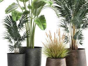 houseplants in a flowerpot for the interior 964 3D Model