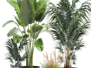houseplants in a flowerpot for the interior 964 3D Model