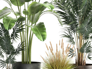 houseplants in a flowerpot for the interior 964 3D Model