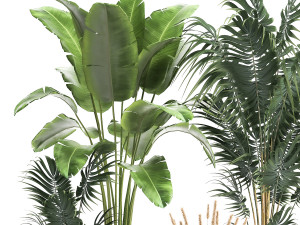 houseplants in a flowerpot for the interior 964 3D Model