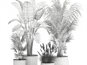 houseplants in a flowerpot for the interior 964 3D Model