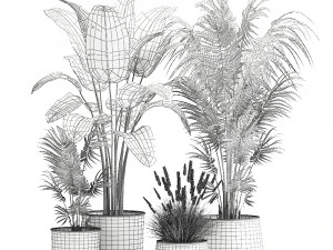houseplants in a flowerpot for the interior 964 3D Model