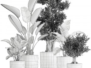 houseplants in a flowerpot for the interior 965 Modello 3D