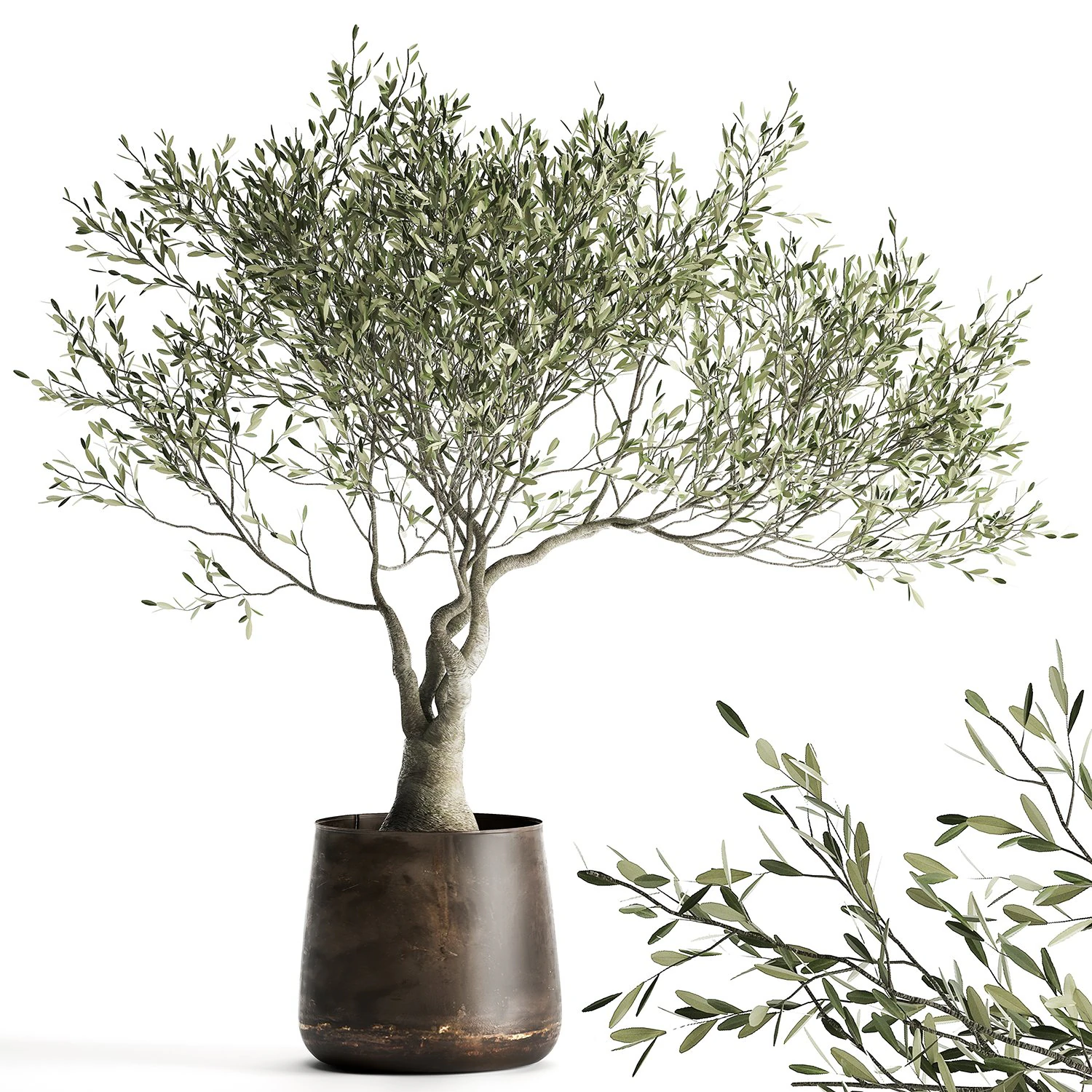 olive tree in a flowerpot for the interior 969 3D Model .c4d .max .obj .3ds .fbx .stl .blend