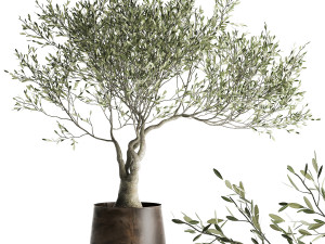ravenala palm in a rust pot for the interior 963 3D Model in Small Plants  3DExport