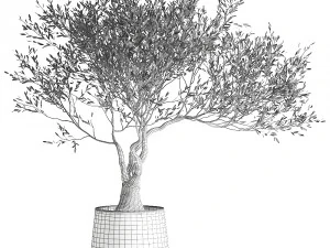 olive tree in a flowerpot for the interior 969 3D Model