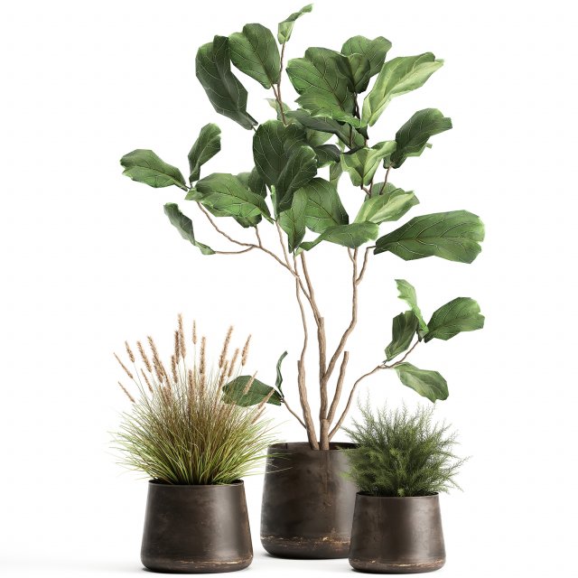 houseplants in a flowerpot for the interior 971 3D Model .c4d .max .obj .3ds .fbx .stl .blend 