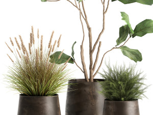 houseplants in a flowerpot for the interior 971 3D Model
