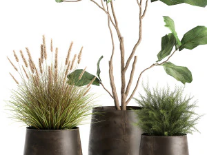 houseplants in a flowerpot for the interior 971 3D Model