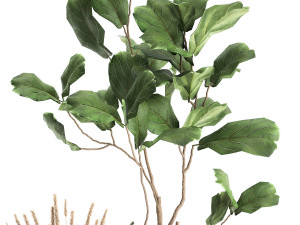 houseplants in a flowerpot for the interior 971 3D Model