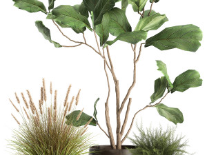 houseplants in a flowerpot for the interior 971 3D Model