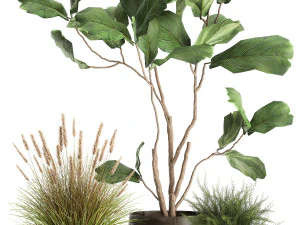 houseplants in a flowerpot for the interior 971 3D Model
