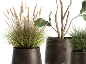 houseplants in a flowerpot for the interior 971 3D Model